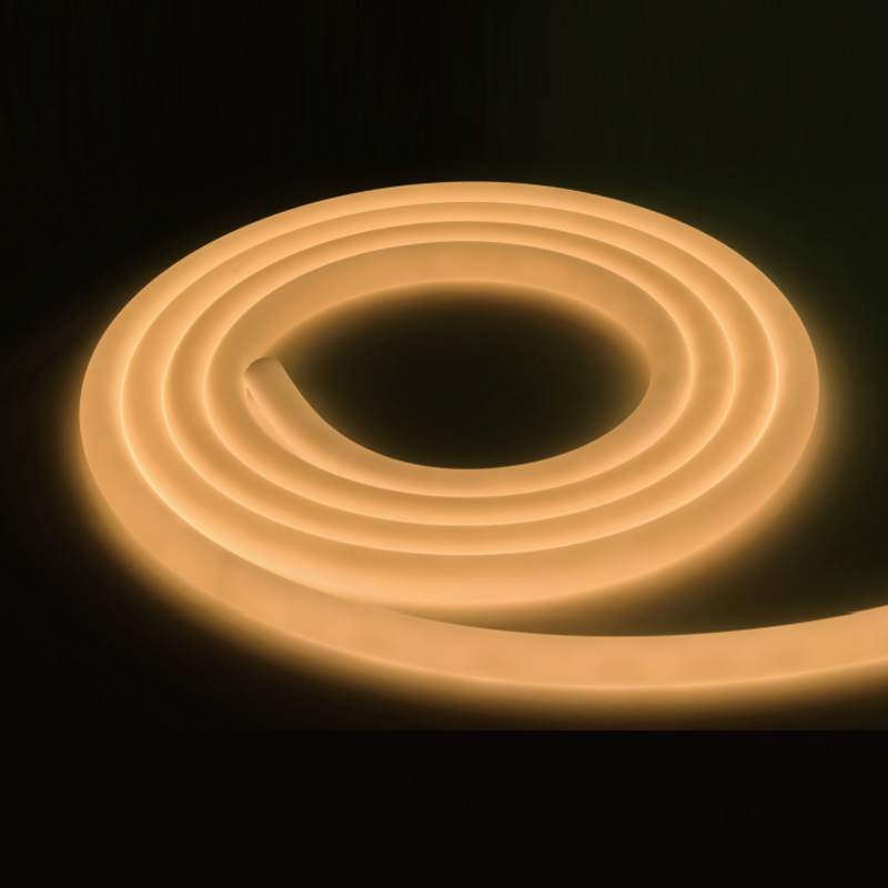 360° LED NEON—D30